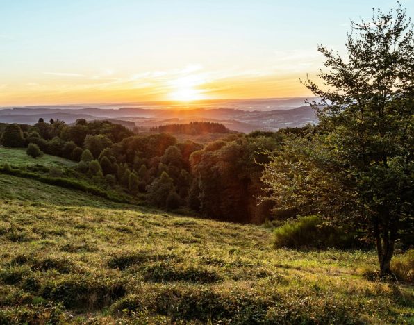 lever de soleil sur la campagne en bourgogne