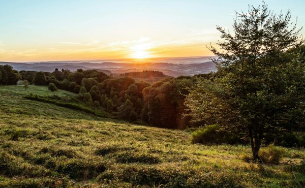 lever de soleil sur la campagne en bourgogne